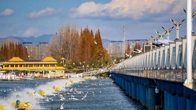 乐鱼体育官网-主场称雄？客场破局？期待！